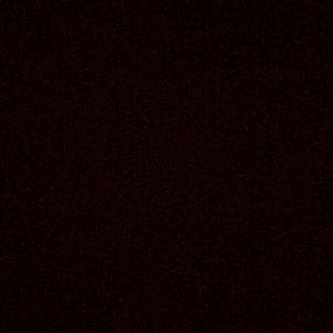 Meet your Posher, Anne